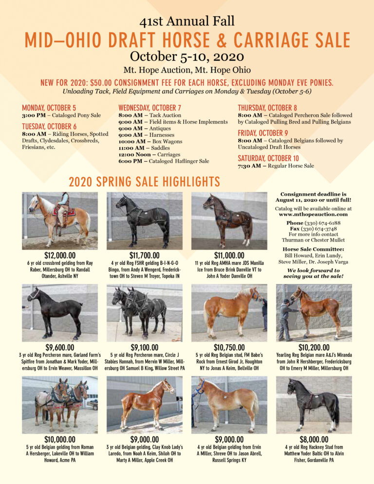 41st Annual Fall MidOhio Draft Horse & Carriage Sale