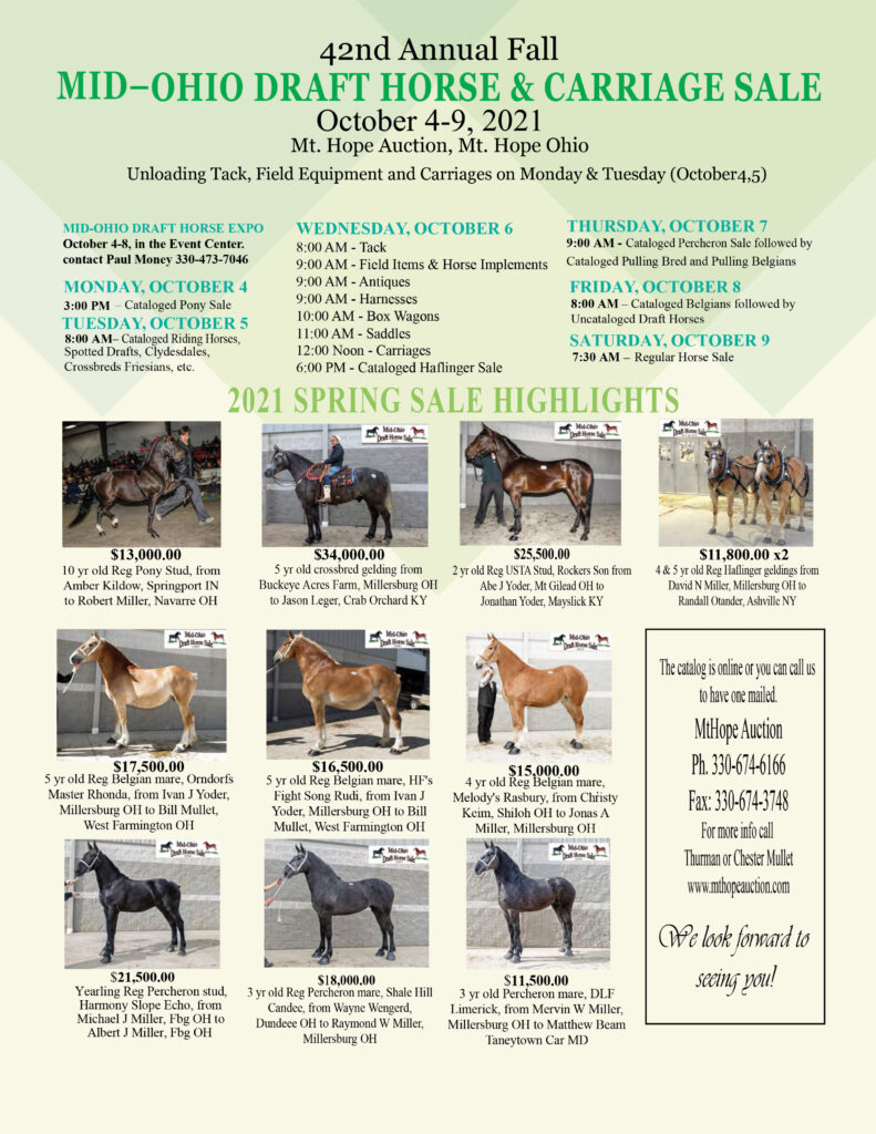 42nd Annual Fall MidOhio Draft Horse & Carriage Sale