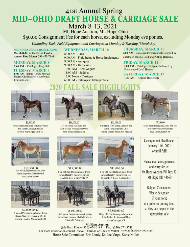 41st Annual Spring MidOhio Draft Horse & Carriage Sale