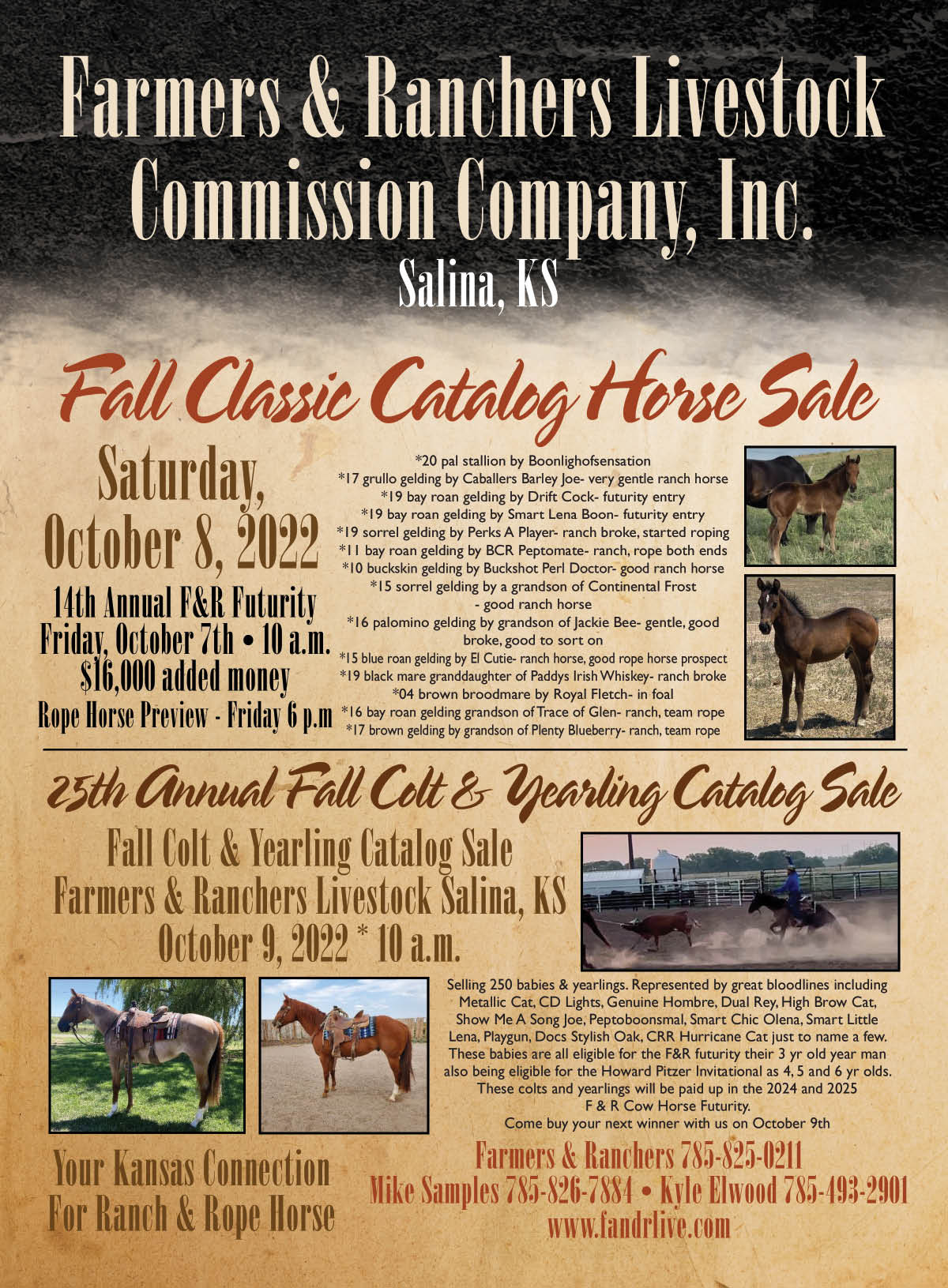 Fall Classic Catalog Horse Sale/25th Annual Fall Colt & Yearling