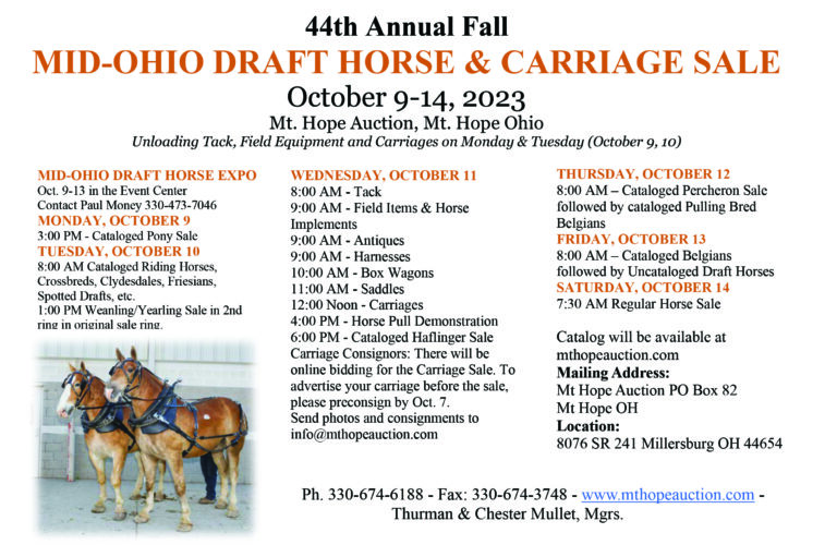 44th Annual Fall MidOhio Draft Horse & Carriage Sale