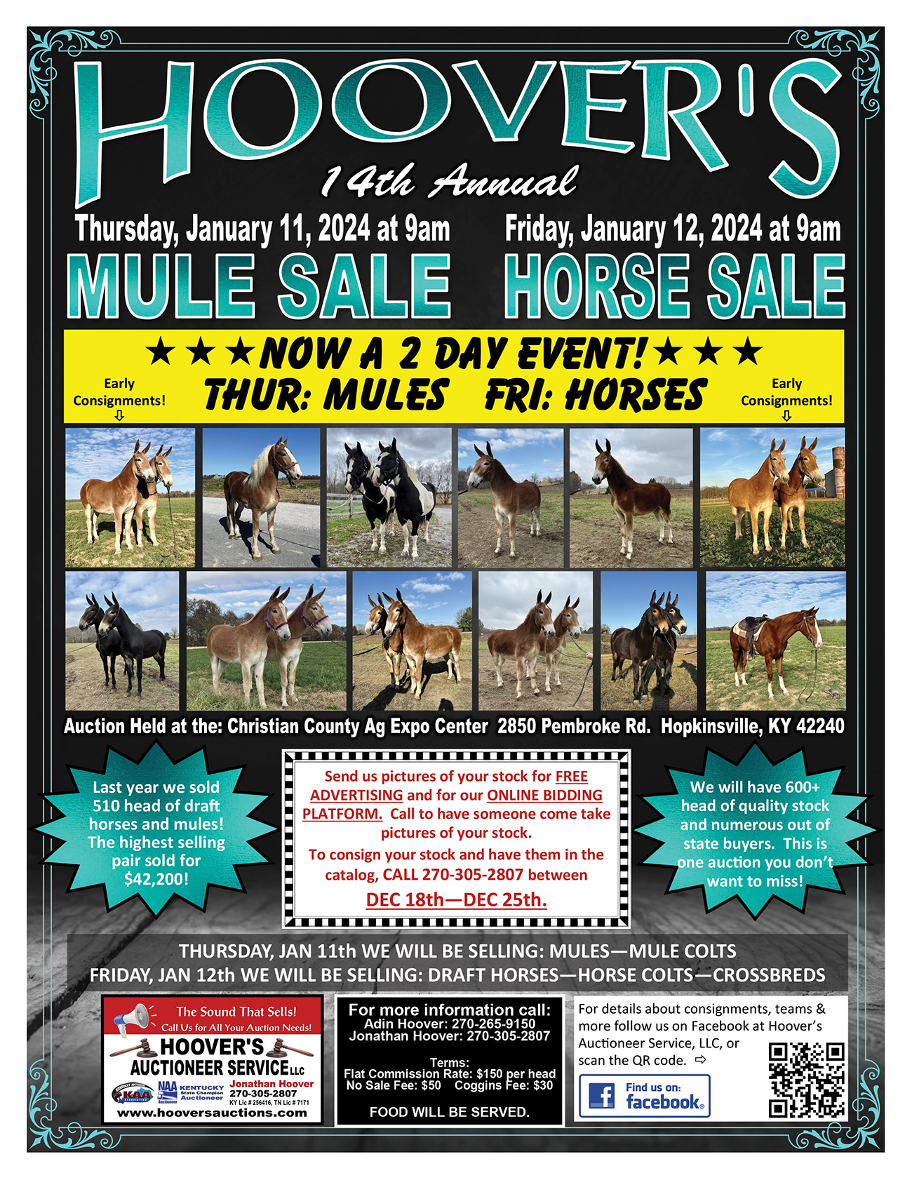 14th Annual Hoover’s Mule & Horse Sale