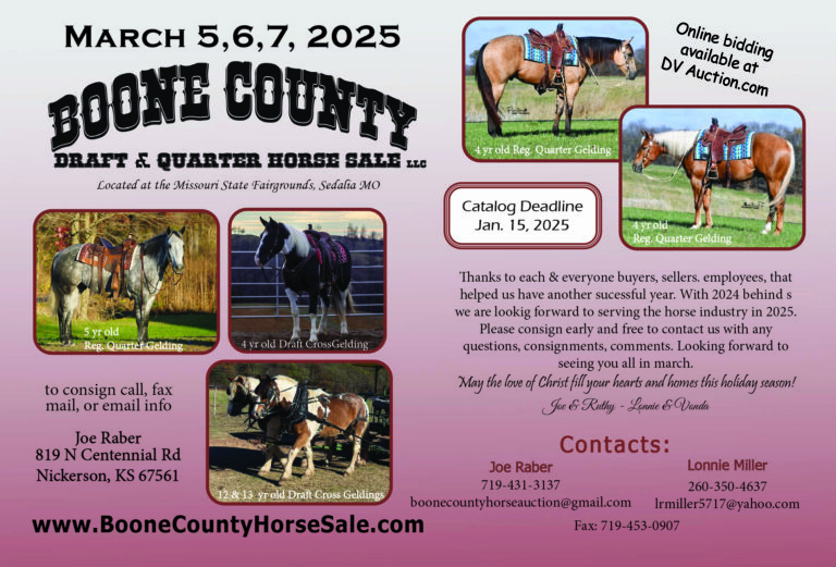 Boone County Draft & Quarter Horse Sale
